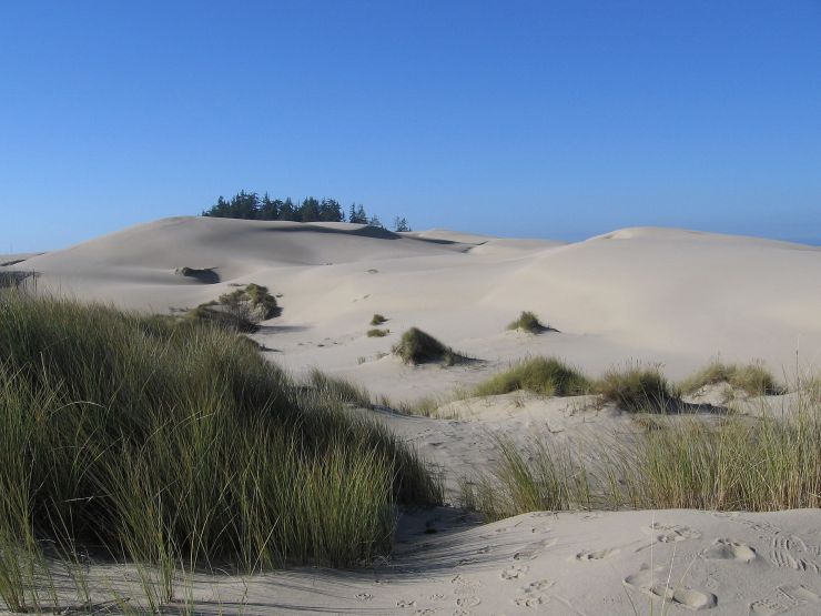 USA_Oregon_Dunes